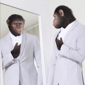 Meet your Posher, Joe